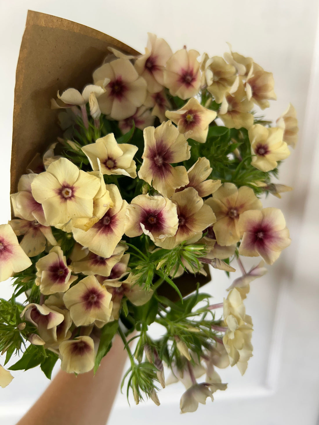 How to Protect your Farmer's Market Flowers from the Summer Heat!
