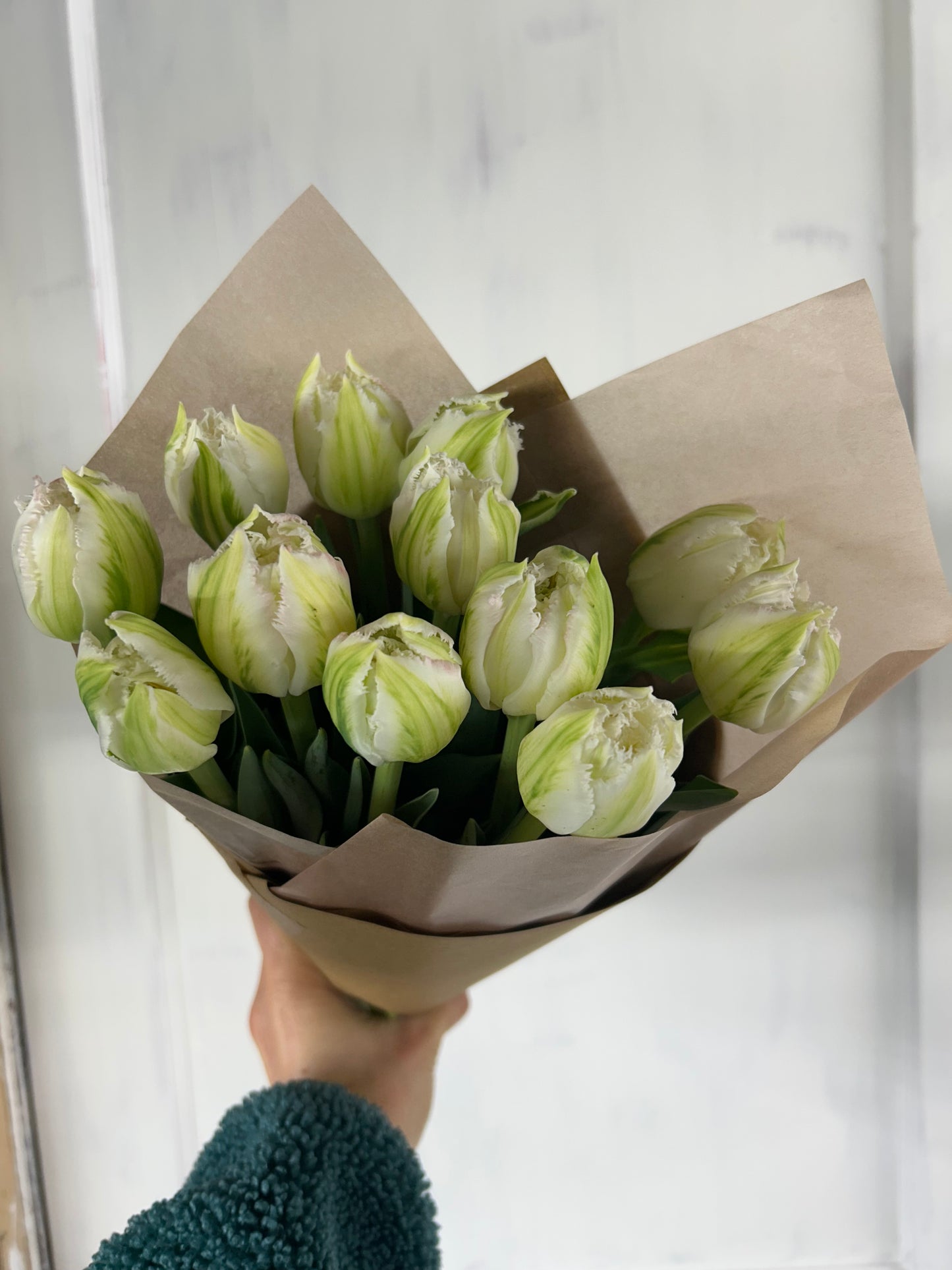 Winter Tulip Subscription 2026