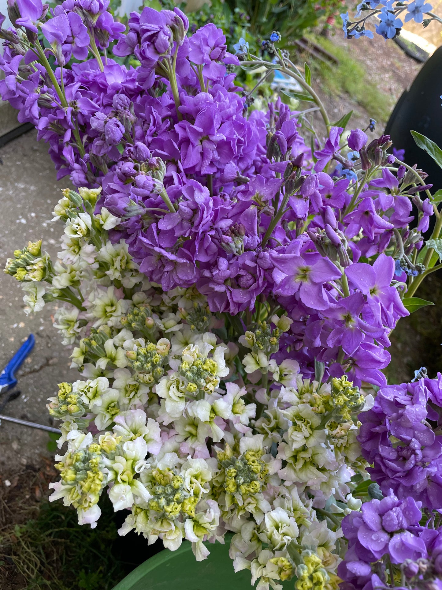 Summer Fresh Flower Subscription 2024