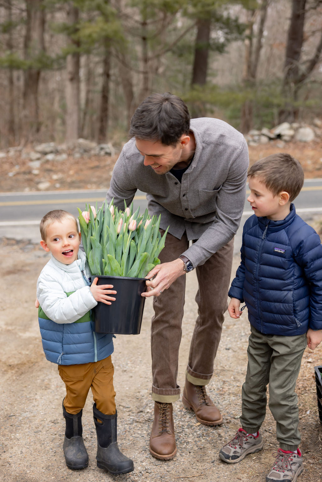 Winter Tulip Subscription 2026