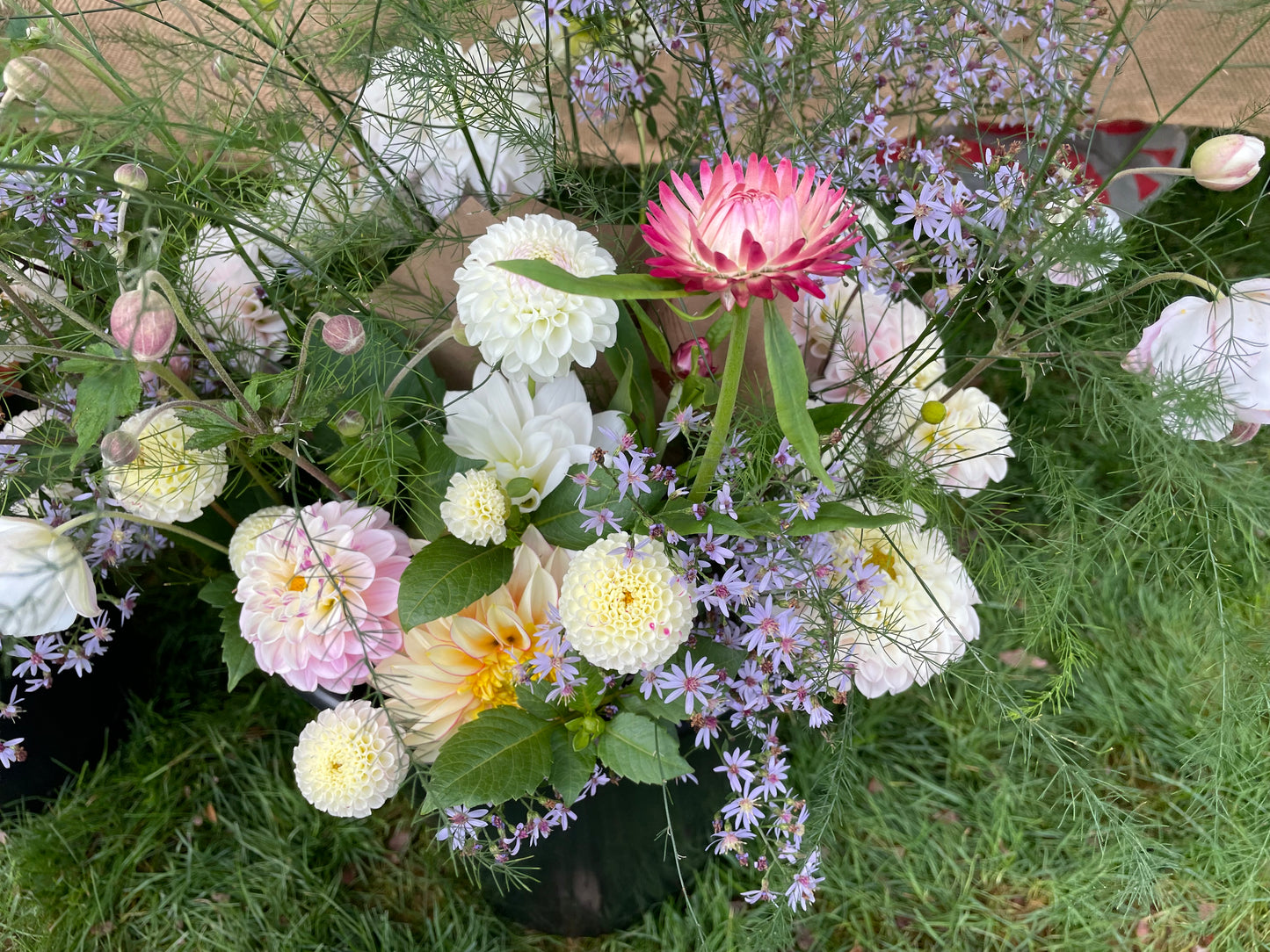 Fall Fresh Flower Subscription 2024