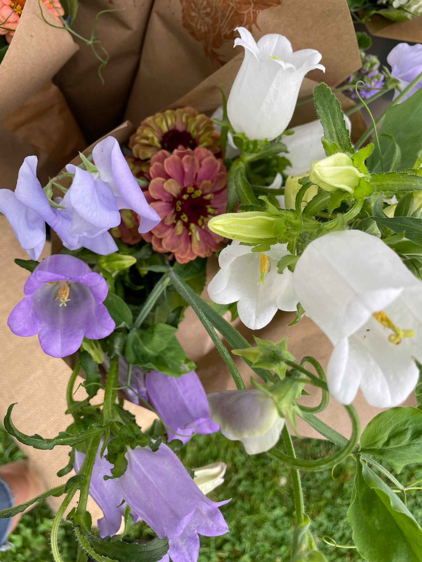 Summer Fresh Flower Subscription 2024