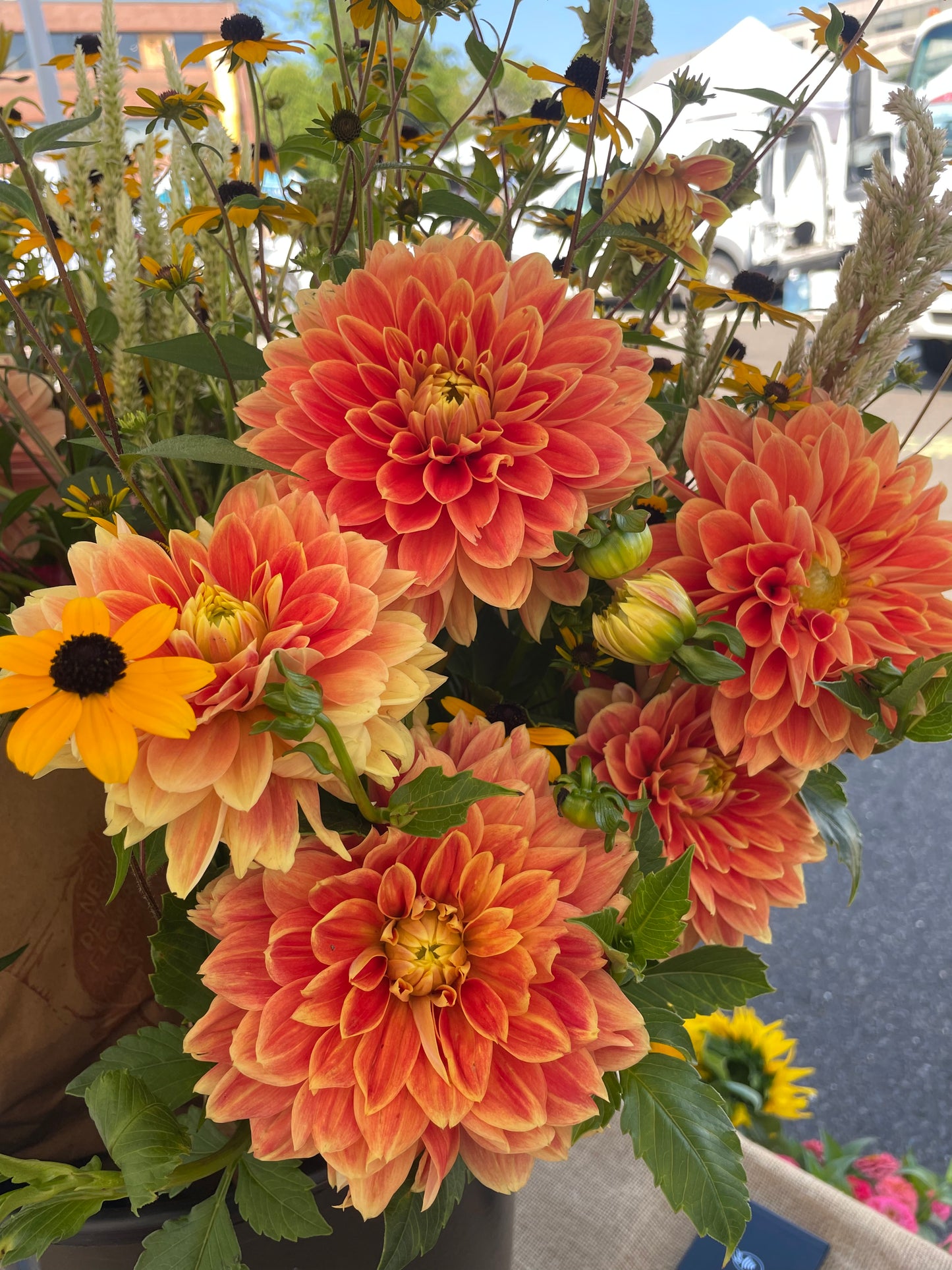 Myrthe Dahlia Tuber