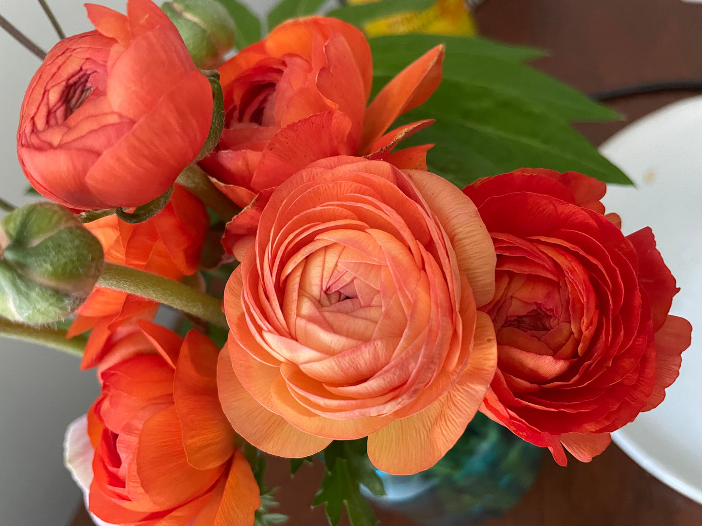 Spring Fresh Flower Subscription 2024