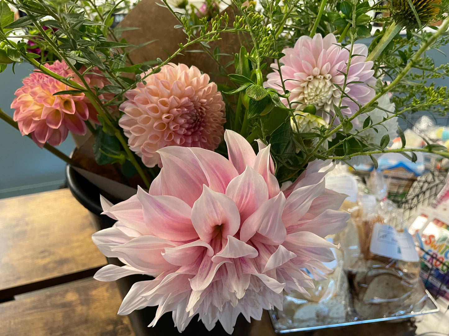 Cafe au Lait Dahlia Tuber