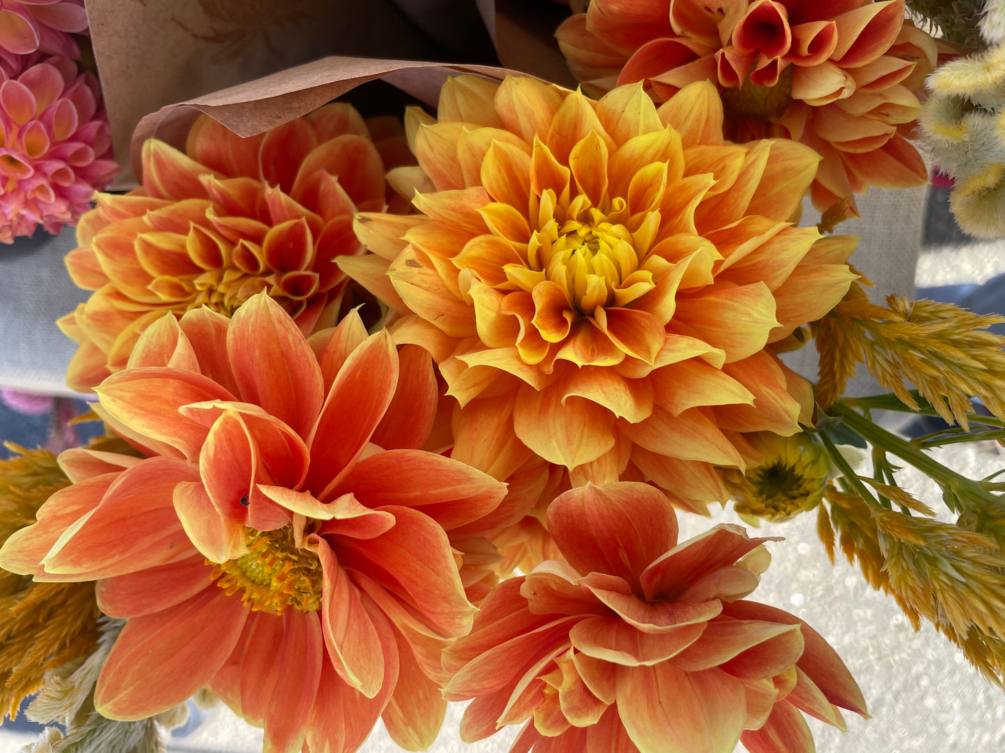 Myrthe Dahlia Tuber