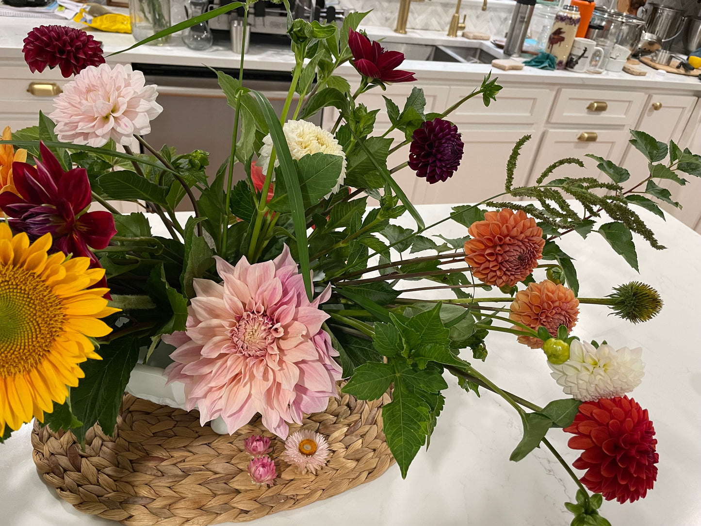 Cafe au Lait Dahlia Tuber