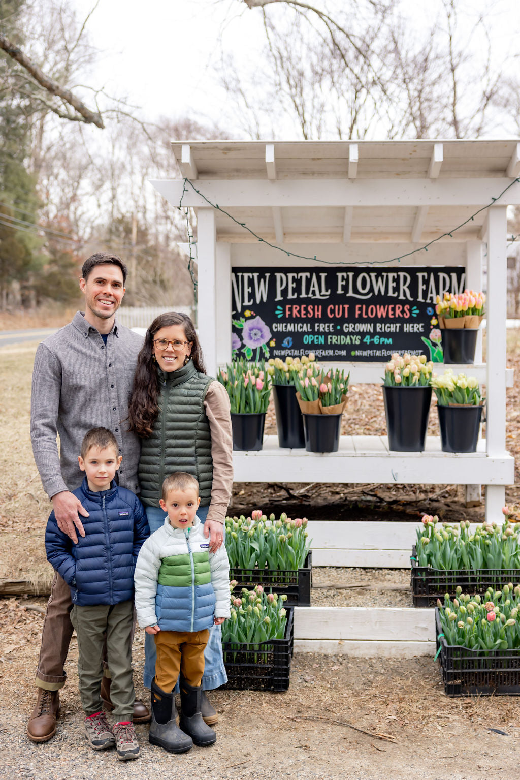 Winter Tulip Subscription 2026