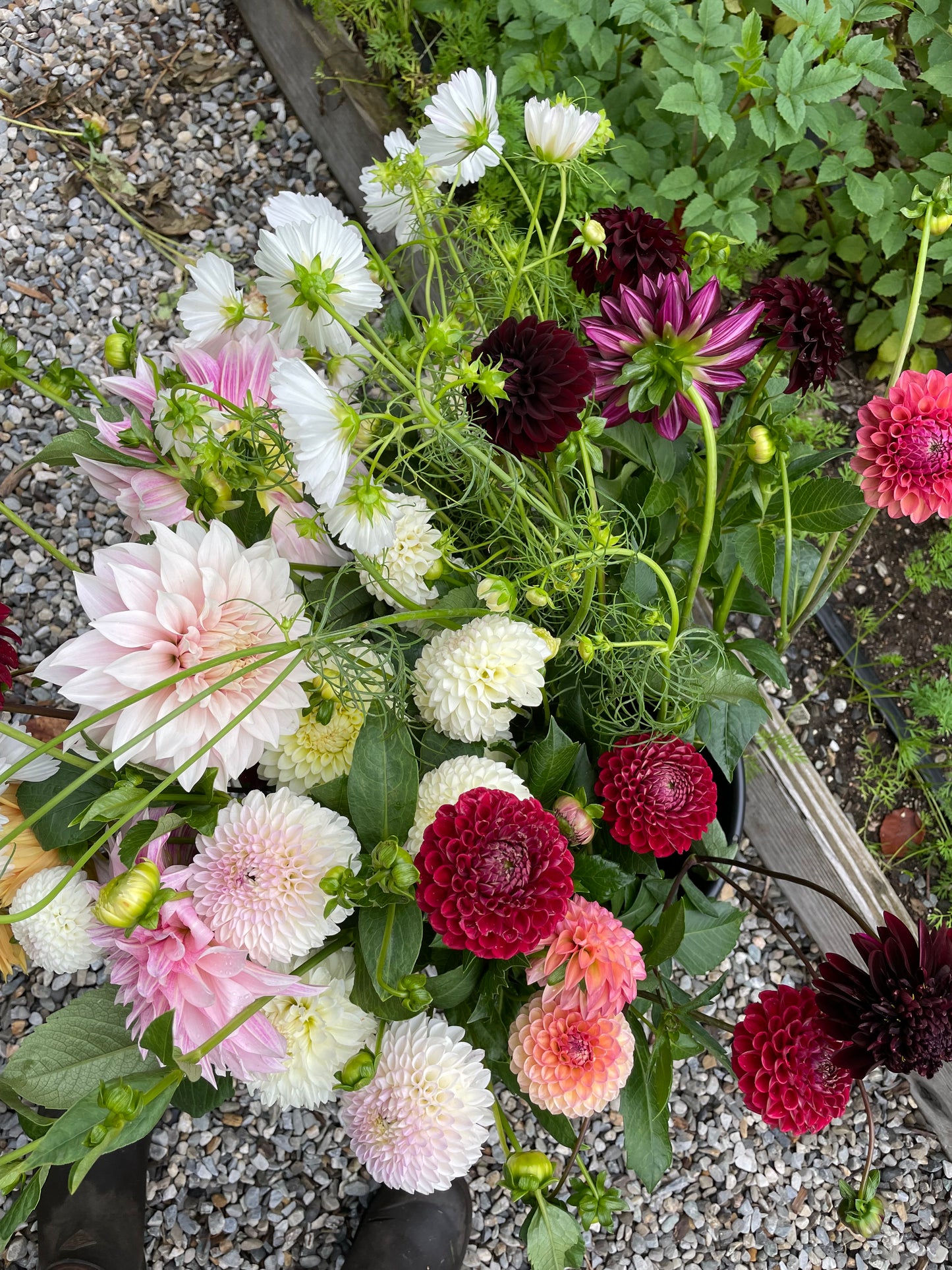 Fall Fresh Flower Subscription 2024