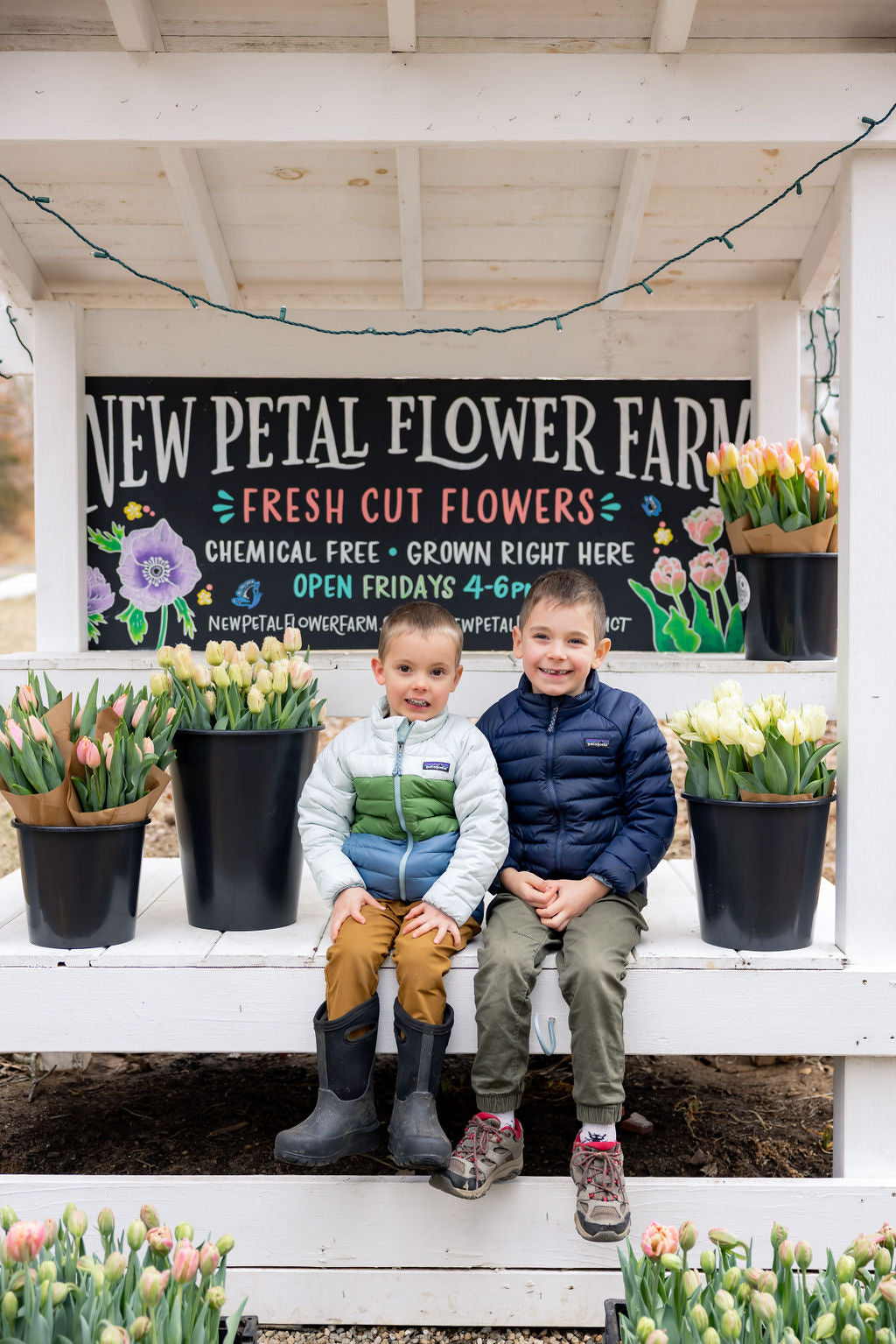 Winter Tulip Subscription 2026