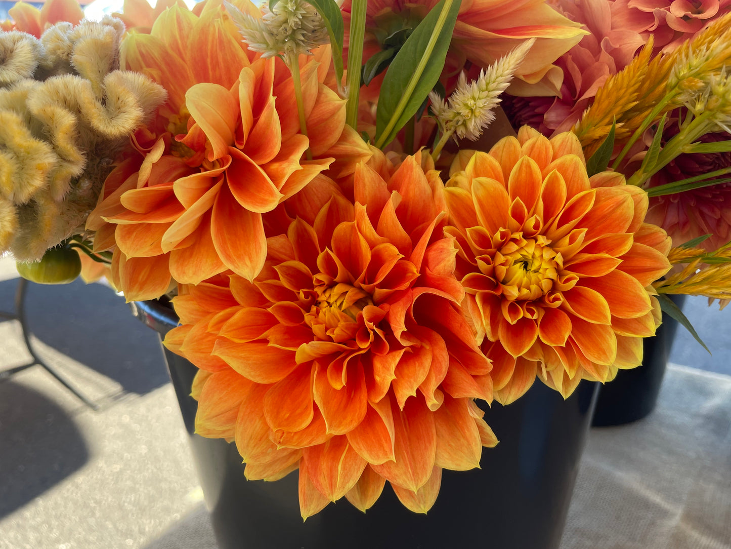 Myrthe Dahlia Tuber