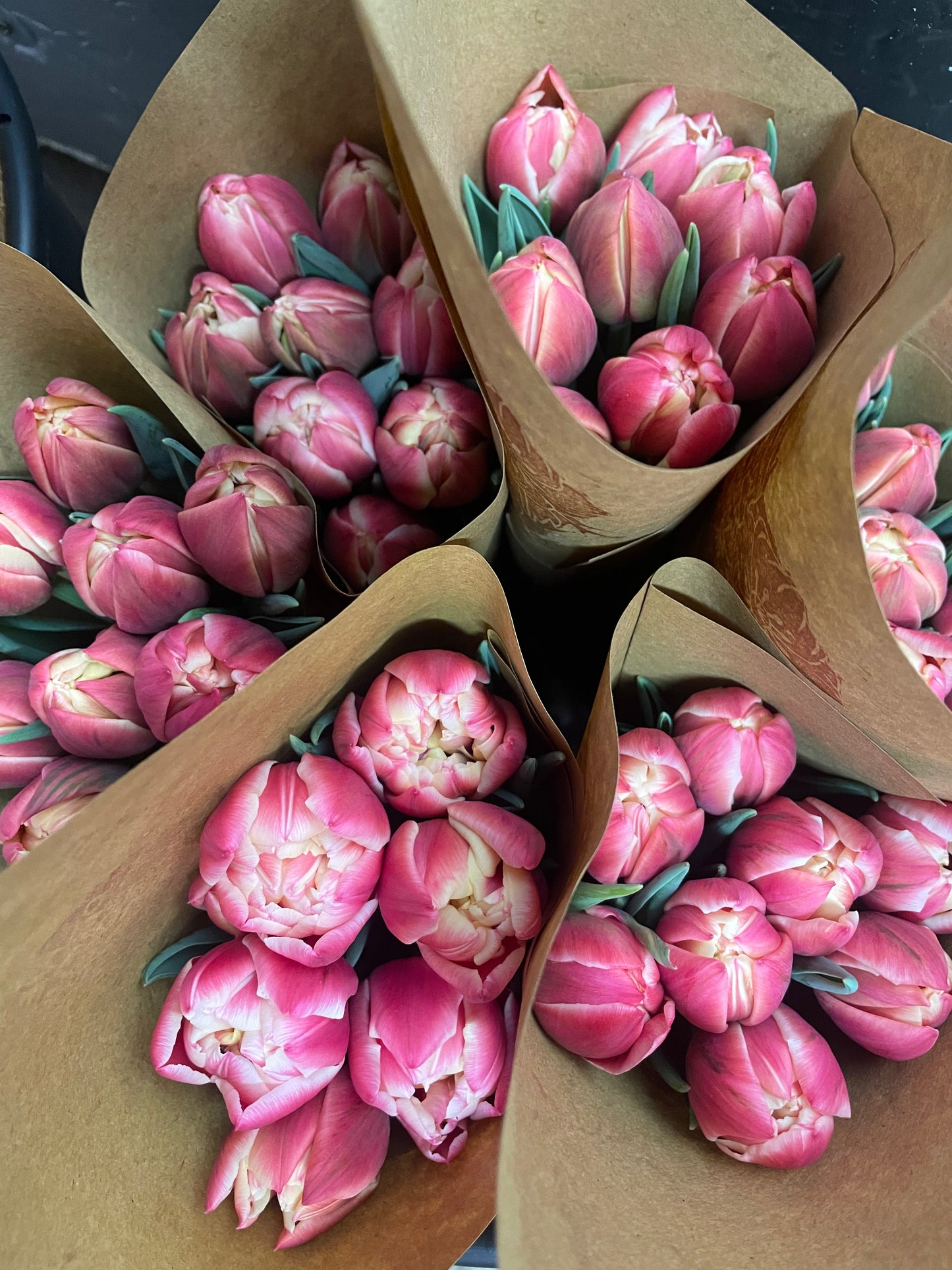 Winter Tulip Subscription 2026