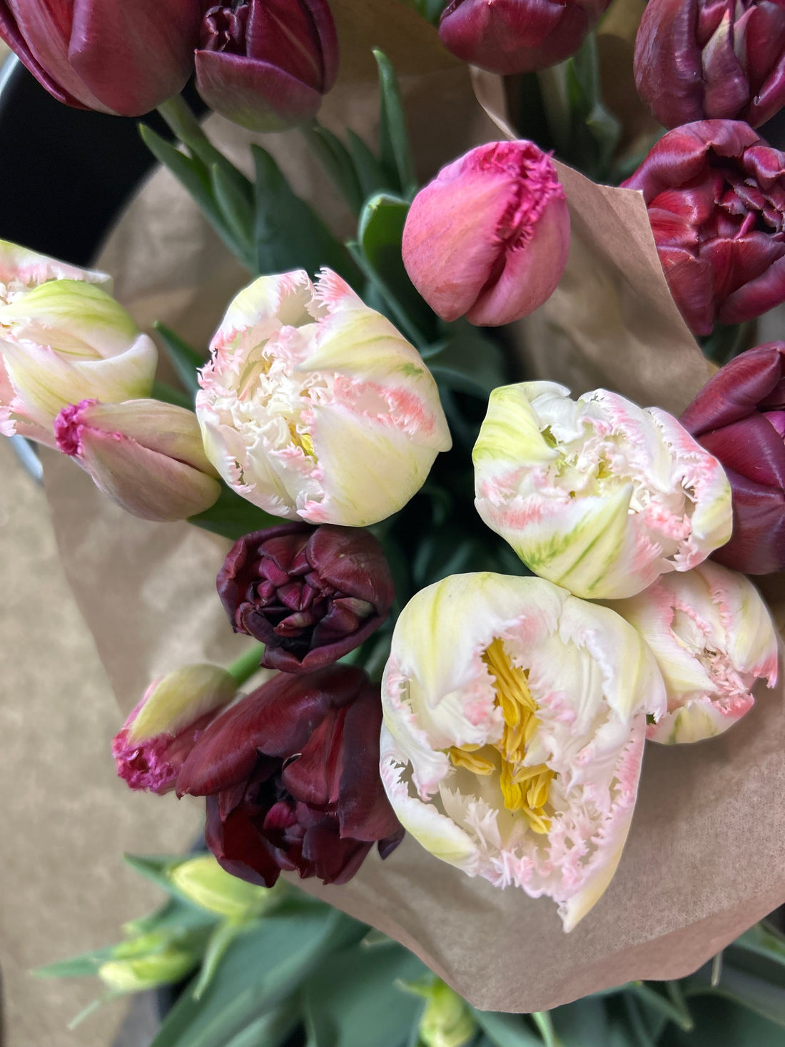 bouquet of tulips