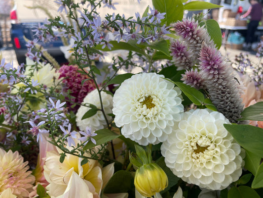 white dahlias in a bouquet