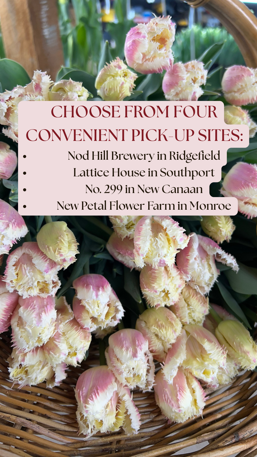 Valentine’s Day Tulip Bouquet Pre-order 2026