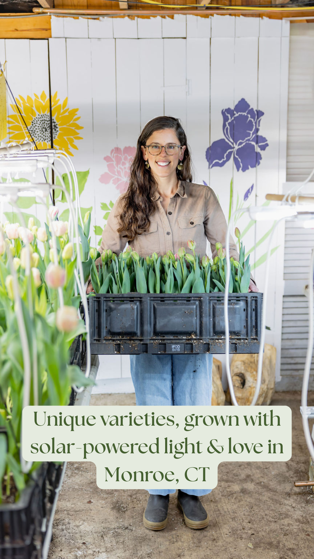 Valentine’s Day Tulip Bouquet Pre-order 2026