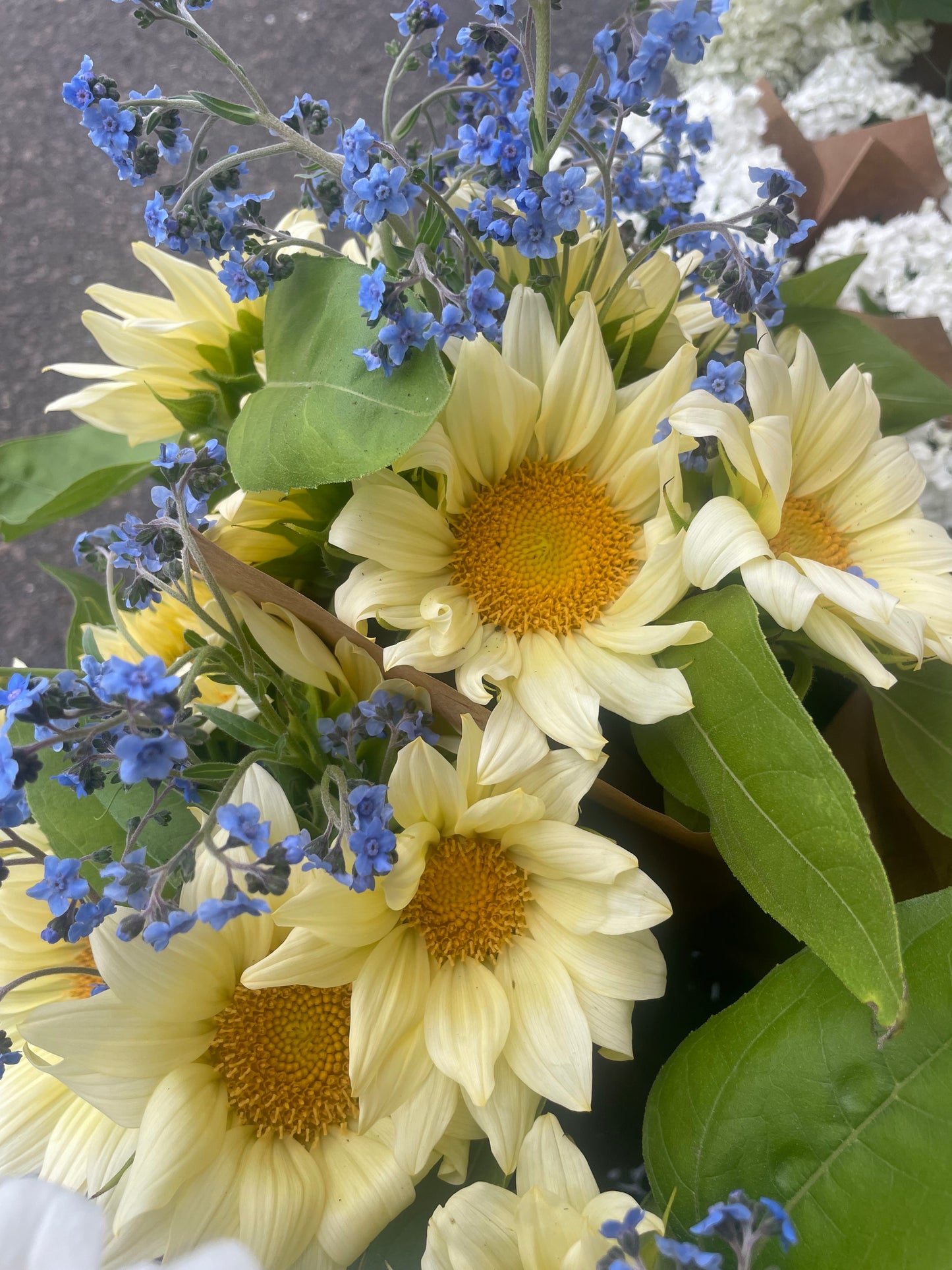 New Petal Flower Farm Gift Card