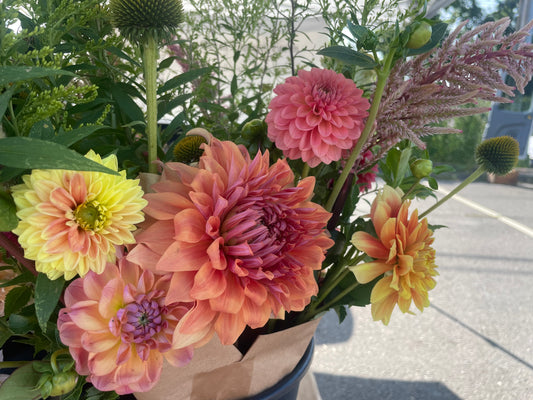 Hercules dahlia in a bouquet