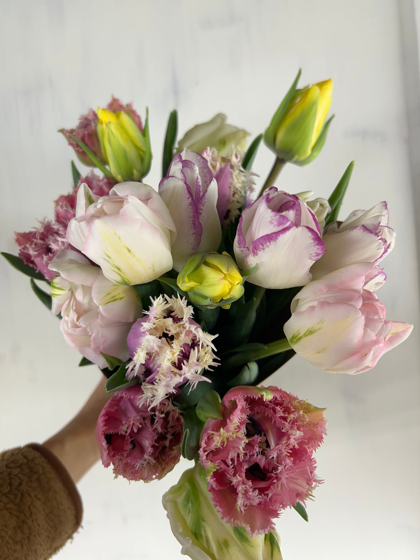 Spring Fresh Flower Subscription 2026