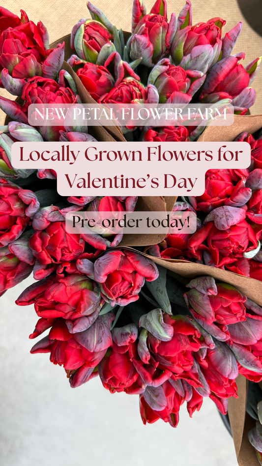 Valentine’s Day Tulip Bouquet Pre-order 2026