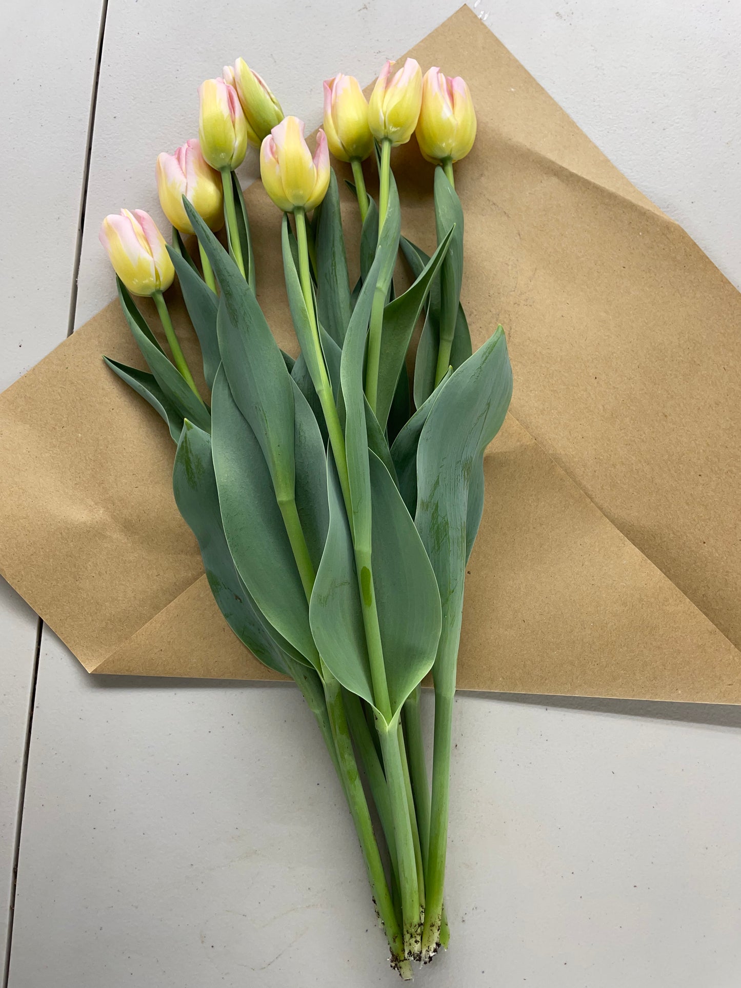 Tulip Bouquet Pick-up & Delivery