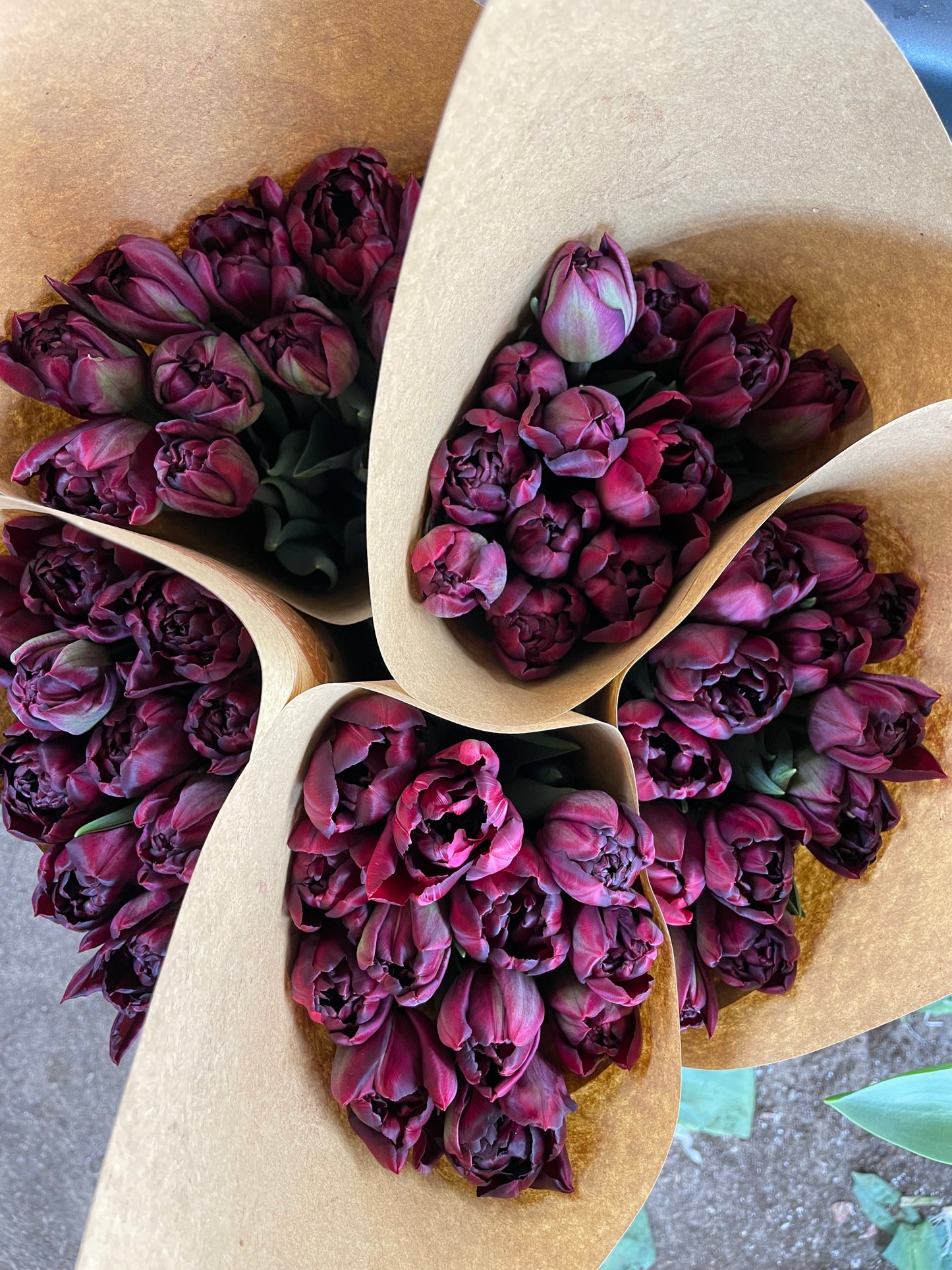 Valentine’s Day Tulip Bouquet Pre-order 2024