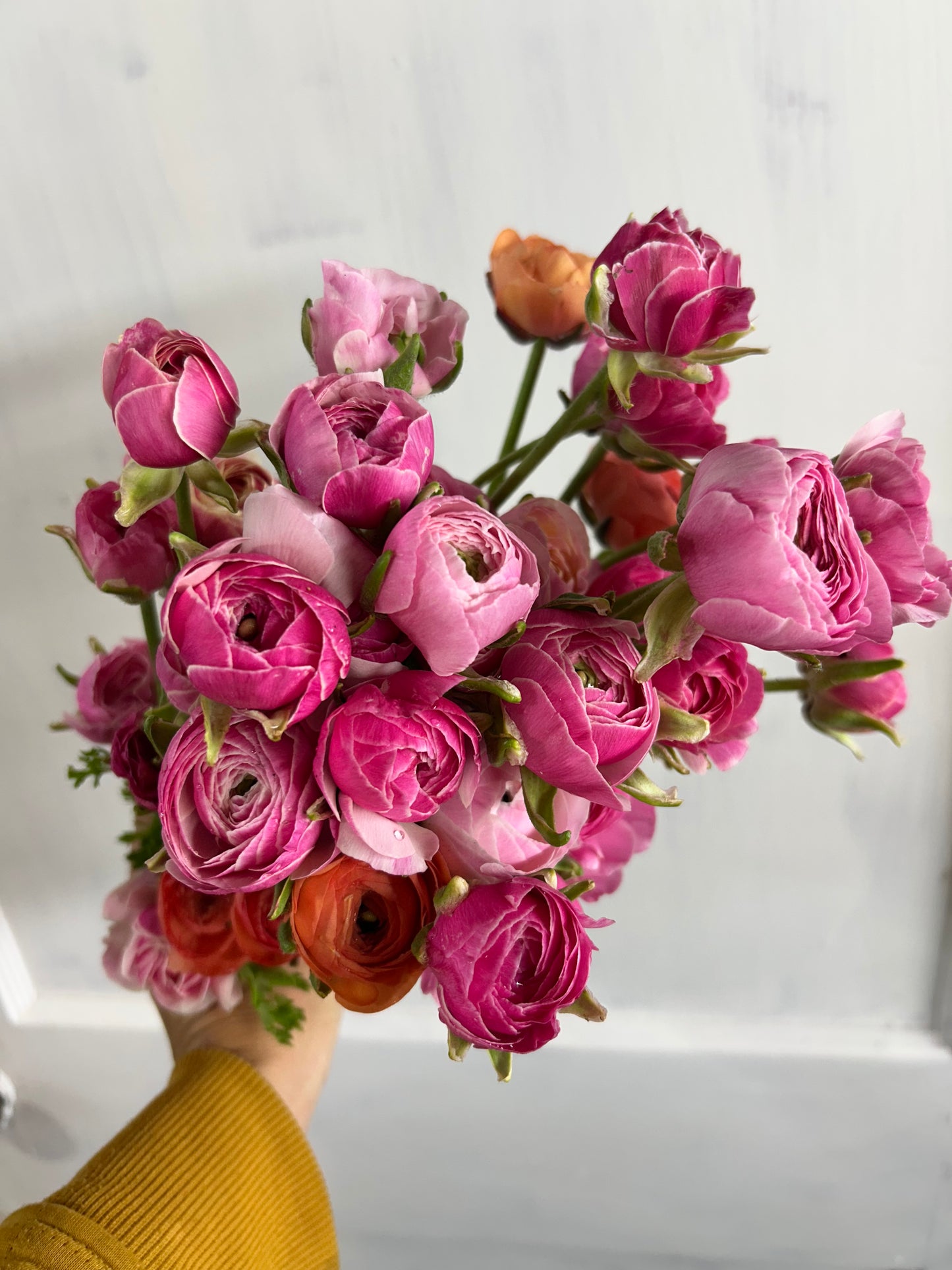 Spring Fresh Flower Subscription 2026