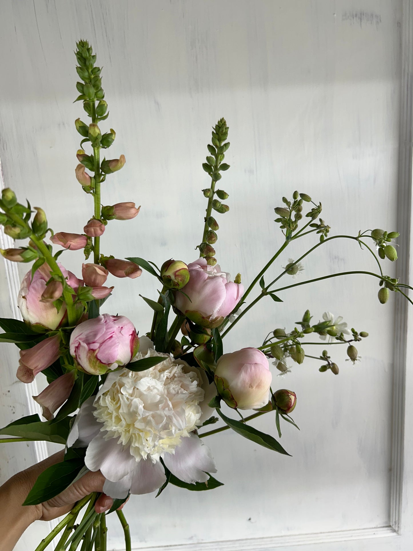 Spring Fresh Flower Subscription 2026