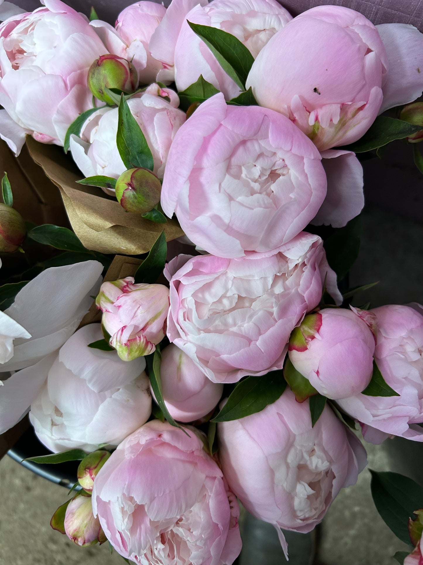 Spring Fresh Flower Subscription 2026