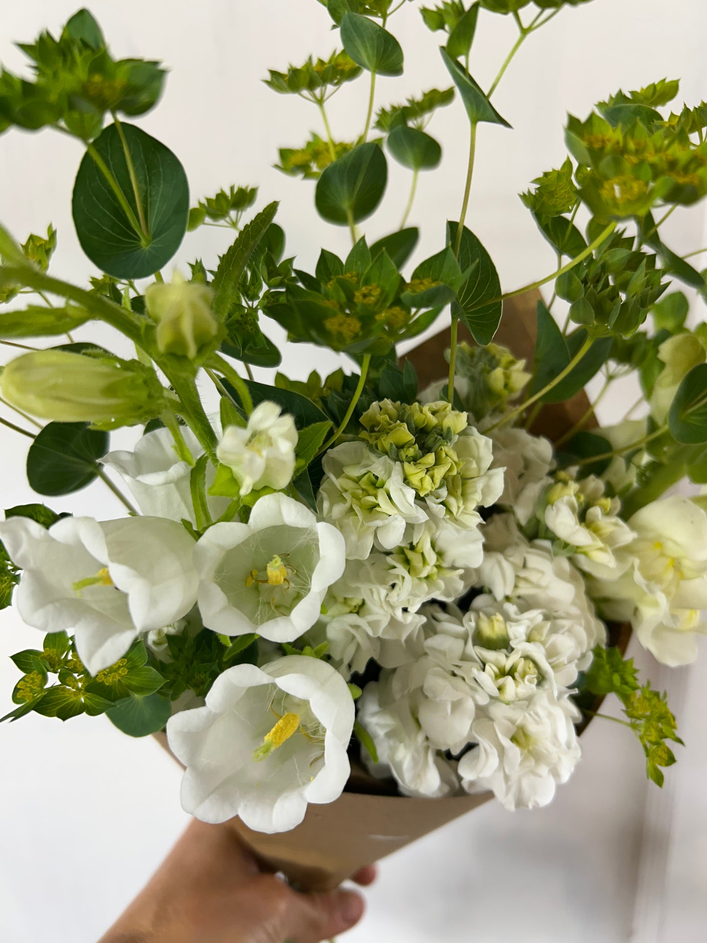 Spring Fresh Flower Subscription 2026
